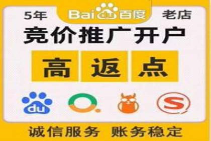 某品牌SEM竞价托管的成功经验